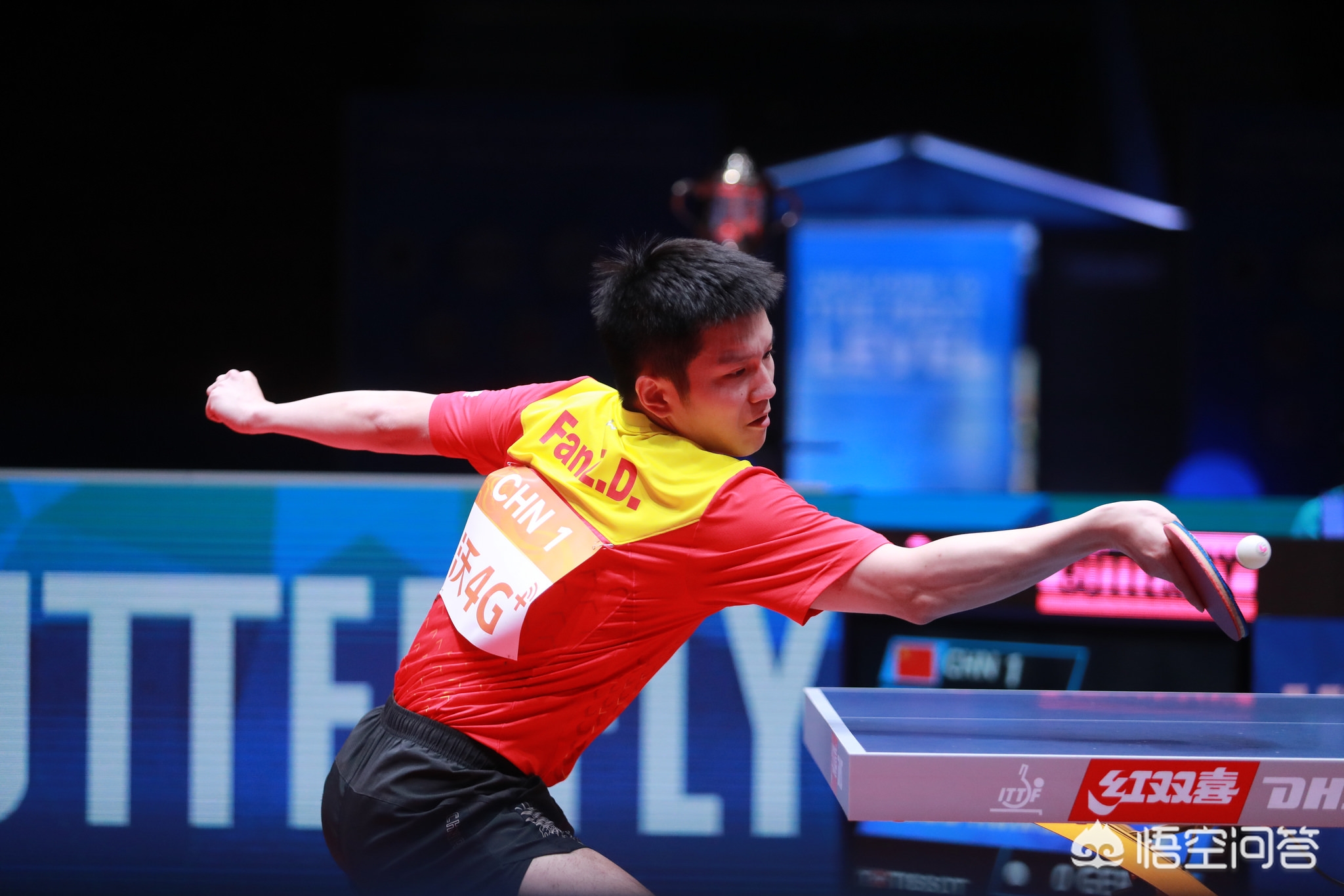 球队内线的 球队内线的